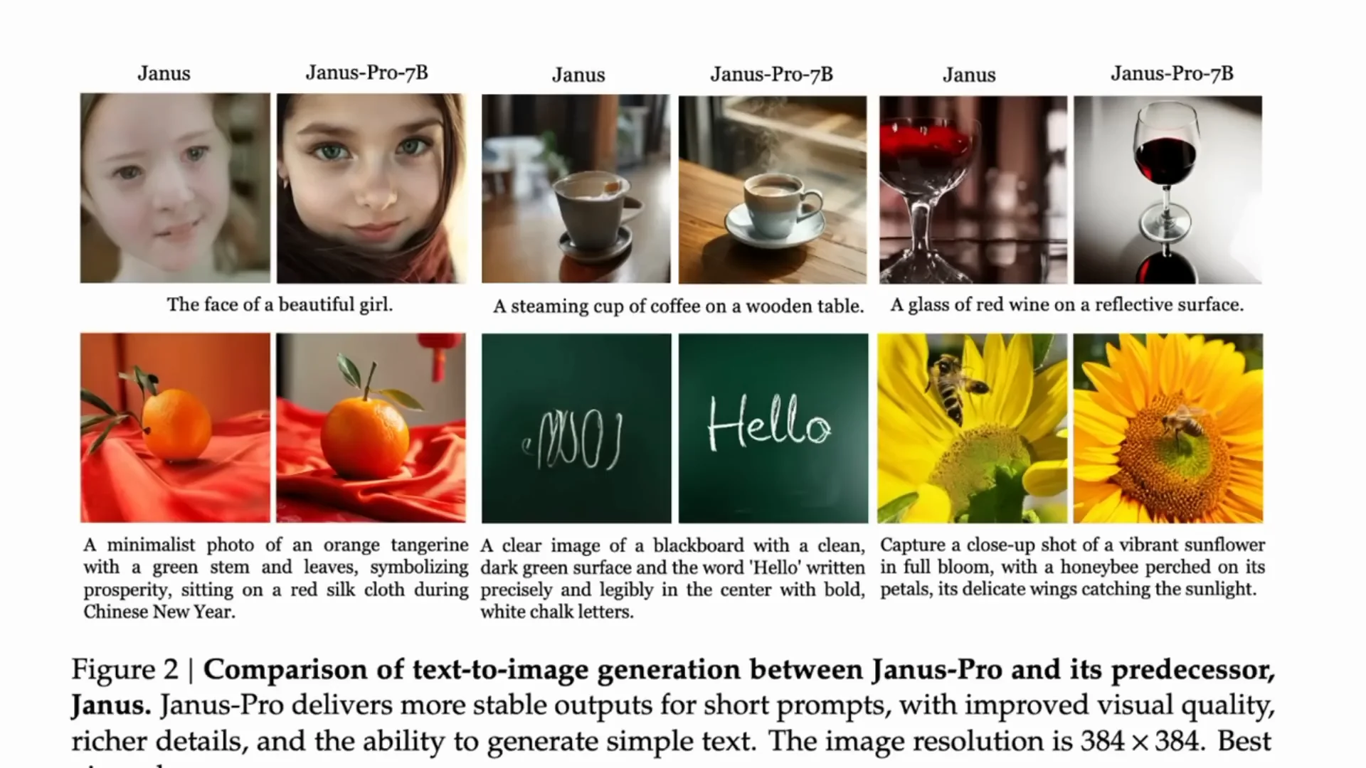 DeepSeek Janus Pro Explained: Multimodal Image Model Breakdown screenshot 6